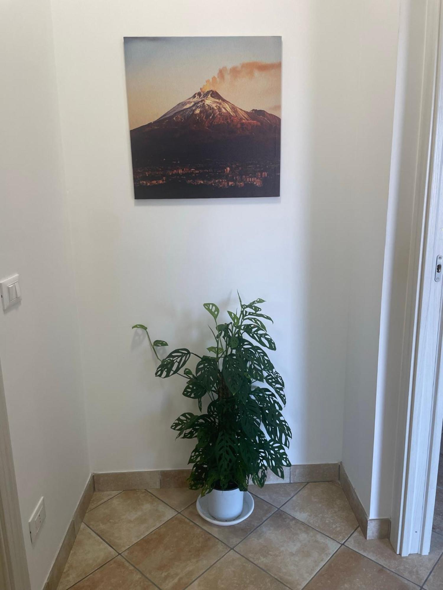 מסקלי Maison De Cheeramie - Tourist Apartments Tra Mare E Etna מראה חיצוני תמונה